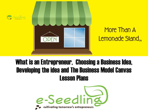 Entrepreneurship 101 - Developing a Business Idea and Business Model Canvas Lesson Plans (Electronic Files)
