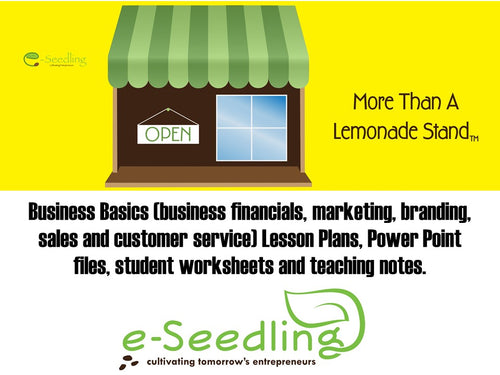 Business Basics Lesson Plans - Electronic Files. Includes Business Financials, Marketing, Branding, Sales and Customer Service