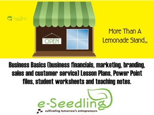 Tax Exempt Orgs - Business Basics Lesson Plans - Electronic Files. Includes Business Financials, Marketing, Branding, Sales and Customer Service